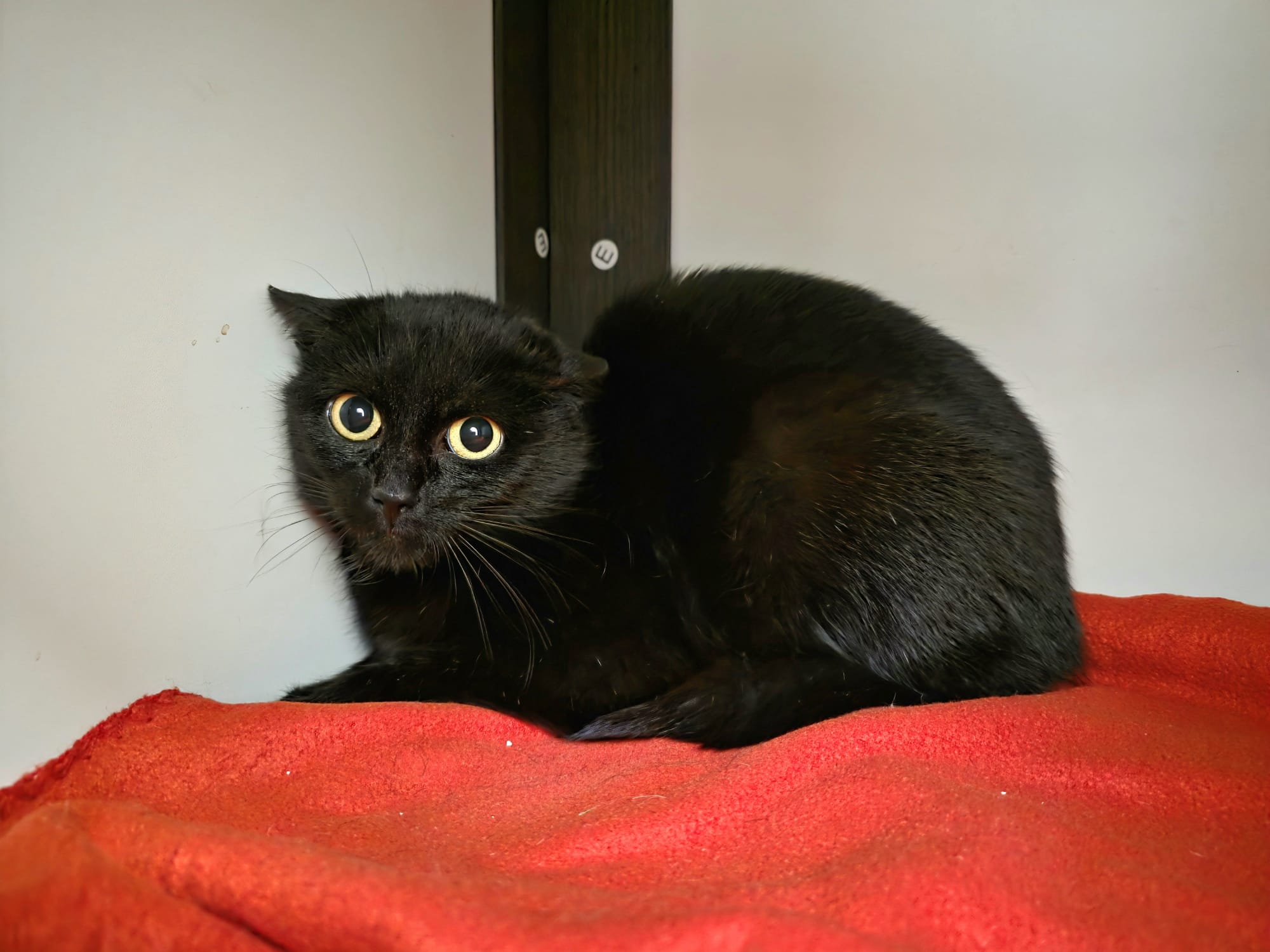 WhatsApp Image 2026-04-05 at 14.49.56 (4).jpeg